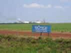El etanol de Bunge, envuelto en casos de desplazamientos de indgenas