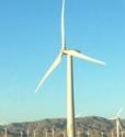 Wind Mill_Scoville