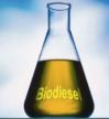 La US recurre a microorganismos para producir biodisel de forma ms limpia