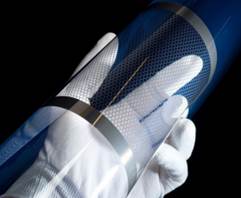 Descripción: Descripción: http://www.ecoticias.com/userfiles/extra/thumbs/306_LPSN_18490701048_33d86a9e08_o.jpg