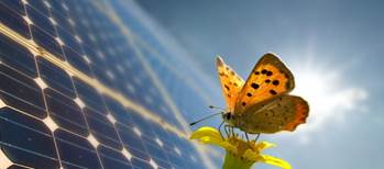 Descripcin: Descripcin: Butterfly-inspired technique could make photovoltaic solar energy cheaper