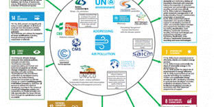 Compromiso mundial en pro de un planeta libre de contaminación